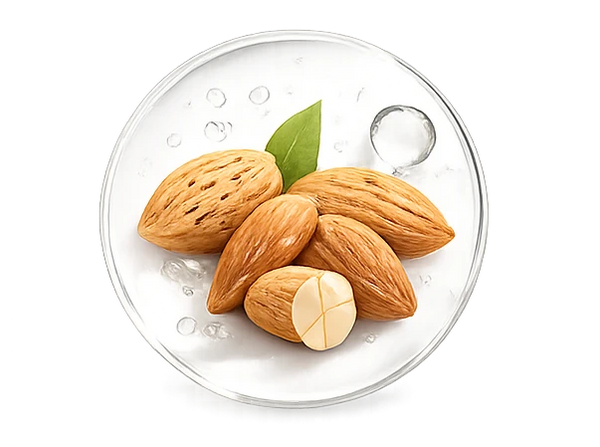 زيت اللوز