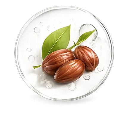 زيت بذور الجوجوبا